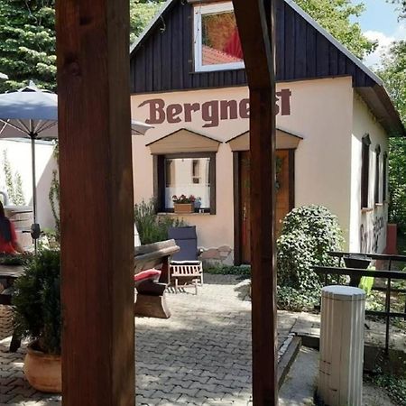 Bergnest Bungalow Bad Gottleuba-Berggiesshuebel Exterior photo