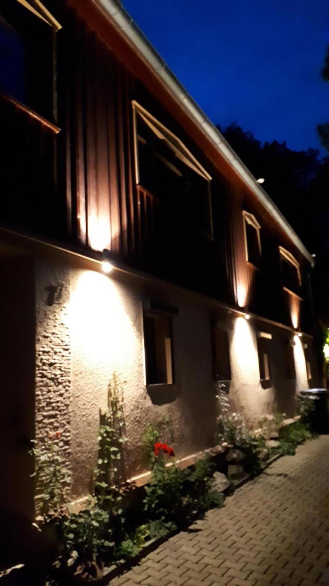 Bergnest Bungalow Bad Gottleuba-Berggiesshuebel Exterior photo